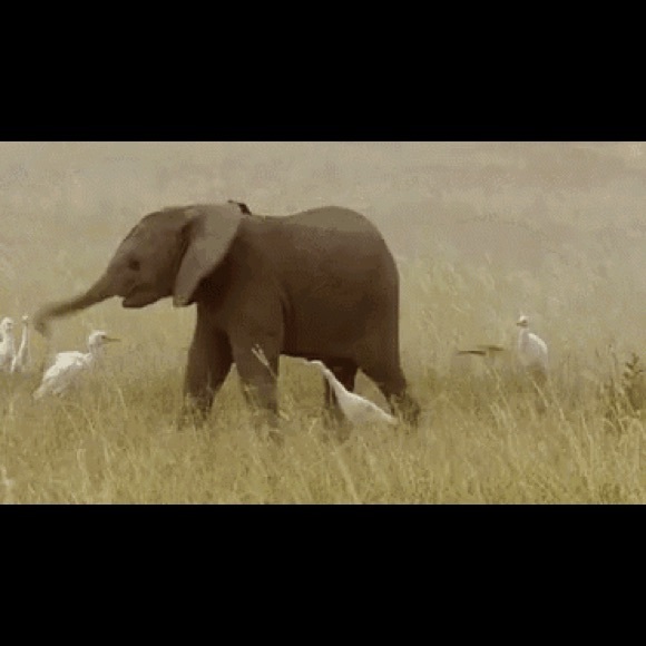 Meet your Posher, Amanda - Picture 1 of 1